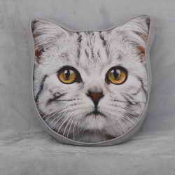 3D Cushion