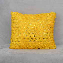 Appliqued Cushion