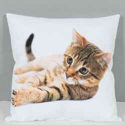 Printing Cushion